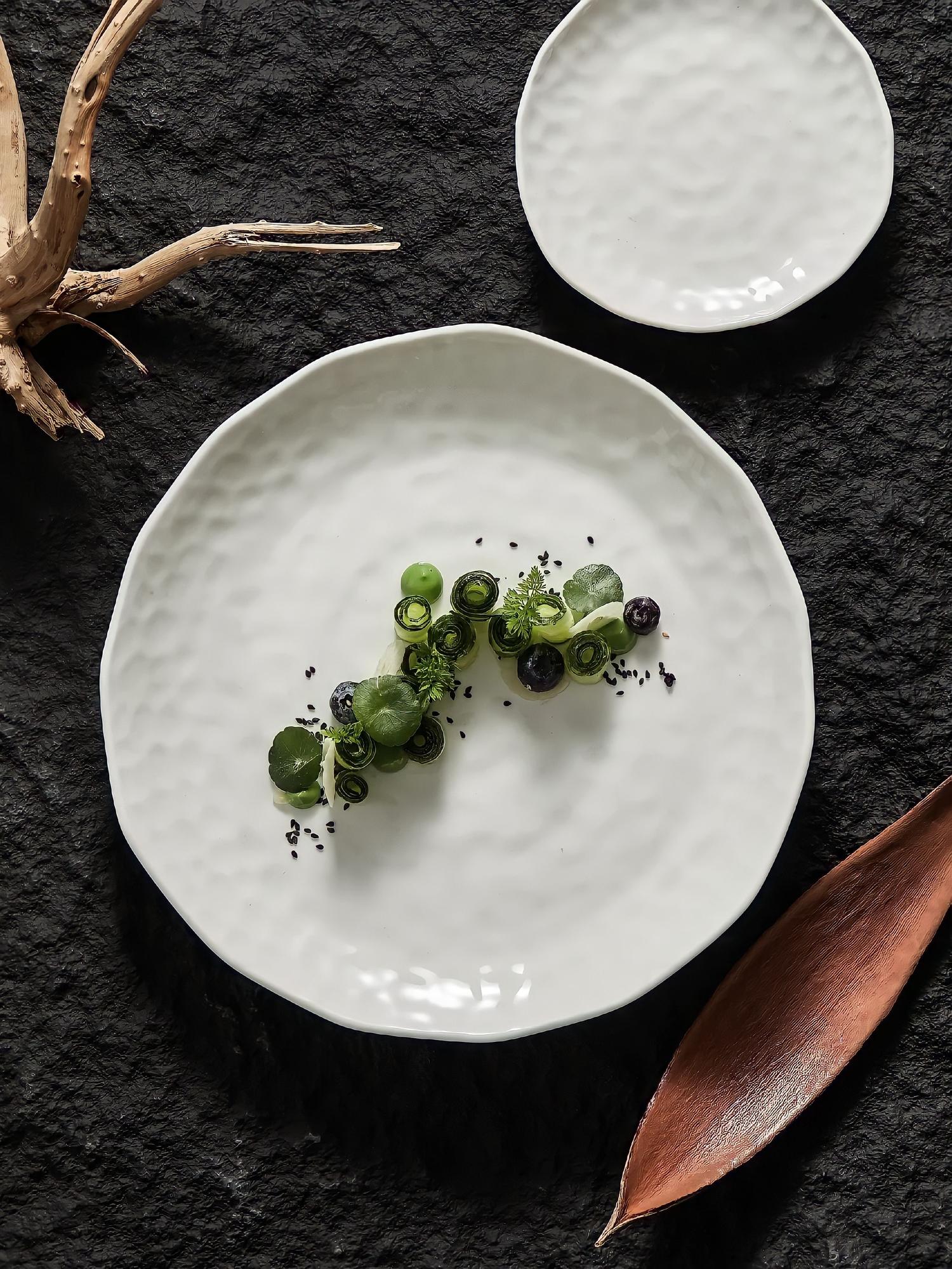 Plated starter on ceramic plate